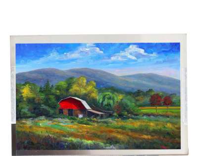 Tianma 7" P0700WVF1MA10 Industrial LCD Display- High Brightness, Wide Temp