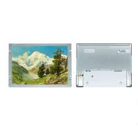 TIAMMA P1010WSN1ME01 10.1 Inch Industrial LCD Display - 1024x600, 350 nits, RGB