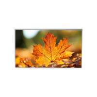P1010WXF1MB10 10.1-inch Full Viewing Angle TFT LCD Display - RGB Interface - Tia