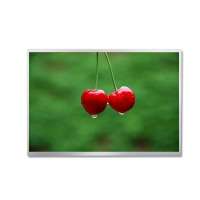 P1010WXF1ME20 10.1-inch Full Viewing Angle TFT LCD Display - LVDS - Tianma