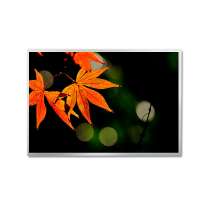 P1040VGF1MB00 10.4-inch Wide Temperature TFT LCD Display - Full Viewing Angle