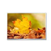 P1040XGF1MB01 10.4-inch Full Viewing Angle TFT LCD Display - Tianma