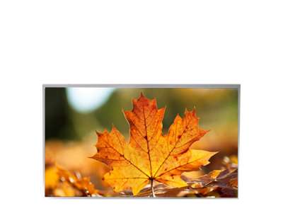 P1010WXF1MB10 10.1-inch Full Viewing Angle TFT LCD Display - RGB Interface - Tia