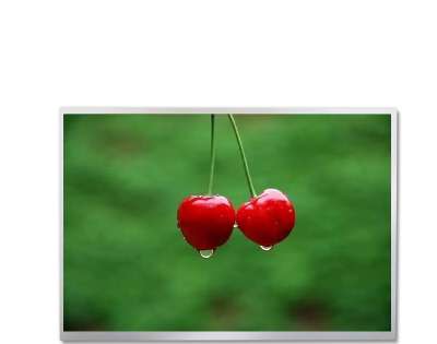 P1010WXF1ME20 10.1-inch Full Viewing Angle TFT LCD Display - LVDS - Tianma