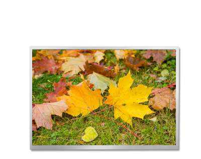 P1010WXF2ME30 10.1-inch Full Viewing Angle TFT LCD Display -LVDS - Tianma