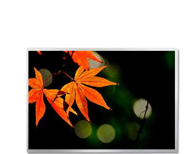 P1040VGF1MB00 10.4-inch Wide Temperature TFT LCD Display - Full Viewing Angle
