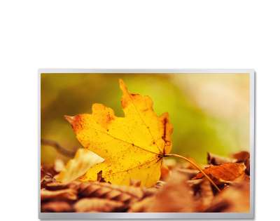 P1040XGF1MB01 10.4-inch Full Viewing Angle TFT LCD Display - Tianma