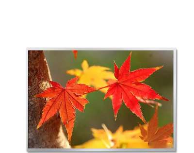 Tianma P1040SVN1ME10 10.4" Industrial LCD Display