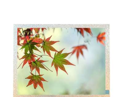 P1010WSF1MB00 10.1-inch TFT LCD Display Screen - RGB Interface - Tianma