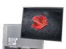 Can the LCD backlight still be used after its lifespan expires?