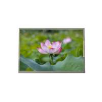 Tianma P1230FHF1MA00 12.3