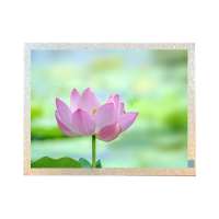 Tianma P1210SVF1ME00 12.1
