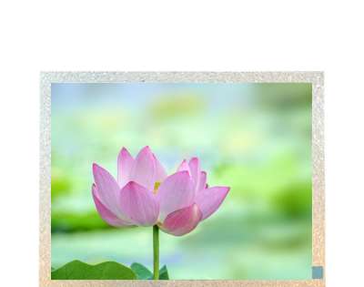 Tianma P1210SVF1ME00 12.1" Industrial LCD Display