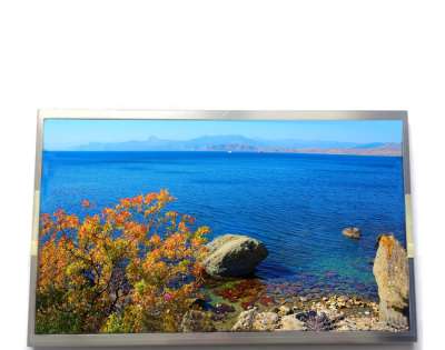 TIANMA 13.3" P1330FHF1ME10 LCD | Display with EDP Interface