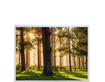 TIANMA 15" P1500XGF1MB02 Industrial LCD | 600 Nits Brightness TFT Display