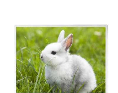 G121XCE-LH1 | 12.1" 1300 nits High-Brightness Sunlight Readable Industrial LCD