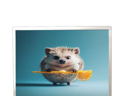 G150XJE-E02 | 15-inch XGA (1024x768) TFT LCD Panel | Innolux Industrial Display