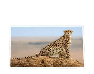 G150XJE-P01 15-inch Rugged LCD Glass, XGA Resolution for HMI & Industrial Contro