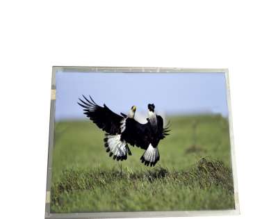 G170ECE-LE2 | 17-inch 400 nits Industrial LCD Panel, Wide Viewing Angle by Innol