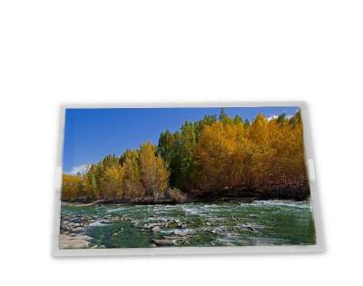 Innolux G125HCJ-HN1 | 12.5-inch FHD Industrial LCD Cell | 1920x1080, eDP, Full