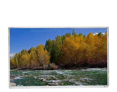 Innolux G215HCJ-L02 | 21.5-inch FHD LCD Module |  LVDS, 89°/89° Viewing Angle