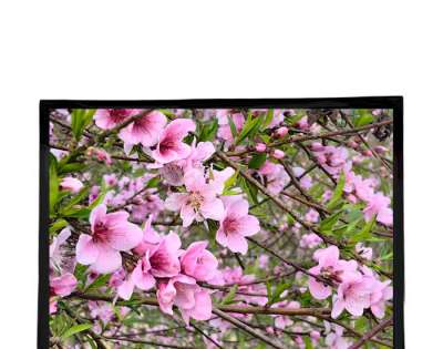 AUO G064XAN01.0 6.4 inch LCD Display | Industrial TFT Panel Supplier