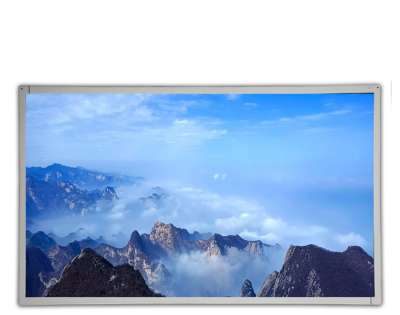 G215HAN01.A 21.5" AUO LCD Screen | 250 nit Full Viewing Angle Panel