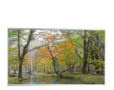 AUO G270QAN01.2 27 Inch LCD | QHD 2560×1440 550 nits Industrial Display