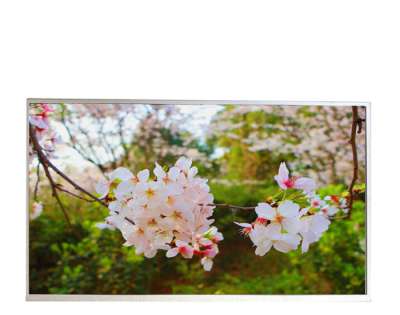 G238HAN01.5 23.8" AUO LCD Screen | 1800:1 High Contrast Industrial Panel