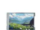 G084SAN01.0 Detailed Technical Analysis of AUO 8.4-inch LCD Screen